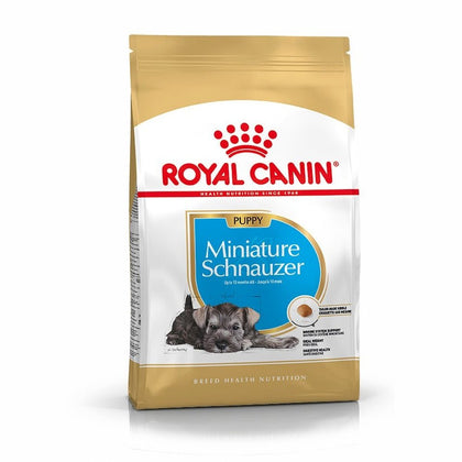 Miniature Schnauzer Puppy Dry Dog Food 1.5Kg - ZARDS PET SUPPLIES - ROYAL CANIN® - Dry Dog Food