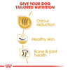 ROYAL CANIN® Breed Health Nutrition Bulldog Adult Dry Dog Food - ZARDS PET SUPPLIES - ROYAL CANIN® - Dry Dog Food