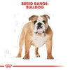 ROYAL CANIN® Breed Health Nutrition Bulldog Adult Dry Dog Food - ZARDS PET SUPPLIES - ROYAL CANIN® - Dry Dog Food