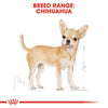 ROYAL CANIN® Breed Health Nutrition Chihuahua Adult Dry Dog Food - ZARDS PET SUPPLIES - ROYAL CANIN® - Dry Dog Food