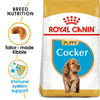 ROYAL CANIN Breed Health Nutrition Cocker Puppy Dry Dog Food 3Kg - ZARDS PET SUPPLIES - ROYAL CANIN® - Dry Dog Food