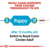 ROYAL CANIN Breed Health Nutrition Cocker Puppy Dry Dog Food 3Kg - ZARDS PET SUPPLIES - ROYAL CANIN® - Dry Dog Food