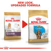 ROYAL CANIN Breed Health Nutrition Cocker Puppy Dry Dog Food 3Kg - ZARDS PET SUPPLIES - ROYAL CANIN® - Dry Dog Food