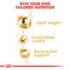 ROYAL CANIN® Breed Nutrition Beagle Adult Dry Dog Food - ZARDS PET SUPPLIES - ROYAL CANIN® - Dry Dog Food