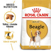 ROYAL CANIN® Breed Nutrition Beagle Adult Dry Dog Food - ZARDS PET SUPPLIES - ROYAL CANIN® - Dry Dog Food