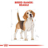 ROYAL CANIN® Breed Nutrition Beagle Adult Dry Dog Food - ZARDS PET SUPPLIES - ROYAL CANIN® - Dry Dog Food