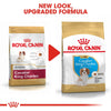 ROYAL CANIN® Cavalier King Charles Puppy Dry Dog Food 1.5Kg - ZARDS PET SUPPLIES - ROYAL CANIN® - Dry Dog Food