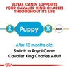 ROYAL CANIN® Cavalier King Charles Puppy Dry Dog Food 1.5Kg - ZARDS PET SUPPLIES - ROYAL CANIN® - Dry Dog Food