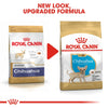 ROYAL CANIN Chihuahua Puppy Dry Dog Food 1.5Kg - ZARDS PET SUPPLIES - ROYAL CANIN® - Dry Dog Food