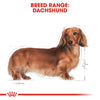 ROYAL CANIN® Dachshund Adult Dry Dog Food - ZARDS PET SUPPLIES - ROYAL CANIN® - Dry Dog Food