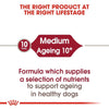 ROYAL CANIN® Medium Ageing 10+ Senior Dry Dog Food - ZARDS PET SUPPLIES - ROYAL CANIN® - Dry Dog Food