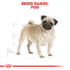 ROYAL CANIN® Pug Adult Dry Dog Food - ZARDS PET SUPPLIES - ROYAL CANIN® - Dry Dog Food