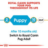 ROYAL CANIN Pug Puppy Dry Dog Food 1.5Kg - ZARDS PET SUPPLIES - ROYAL CANIN® - Dry Dog Food